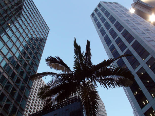 istock Tall Office Building Exterior In Hong Kong China 642812330