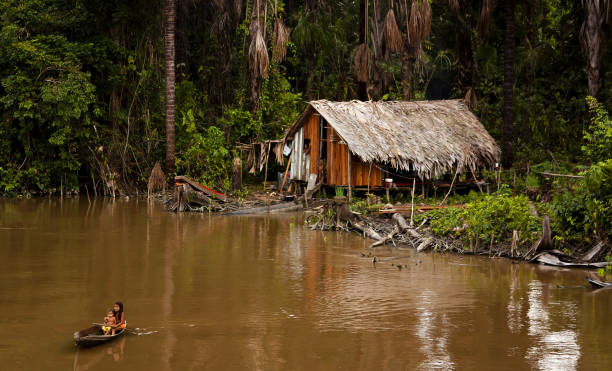 Natives of the Amazon Amazon River, Brazil - February 18, 2012: An indigenous family living in a hut by the Amazon River. The deforestation, often illegal, of the Amazon rainforest is threatening the existence of the indigenous communities. amazon river stock pictures, royalty-free photos & images