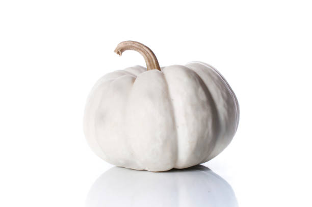 istock pumpkins close up isolated on white. 642819712