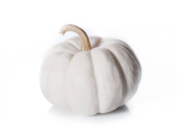 istock pumpkins close up isolated on white. 642819870