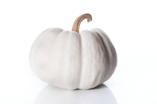 istock pumpkins close up isolated on white. 642822044