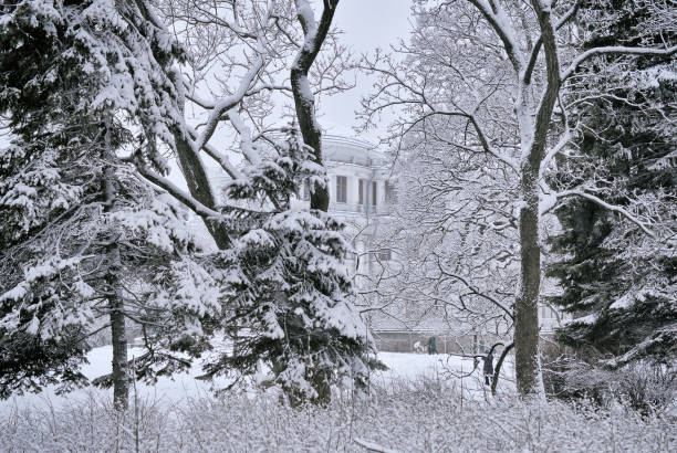 istock Winter landscape in the city park. 642827796