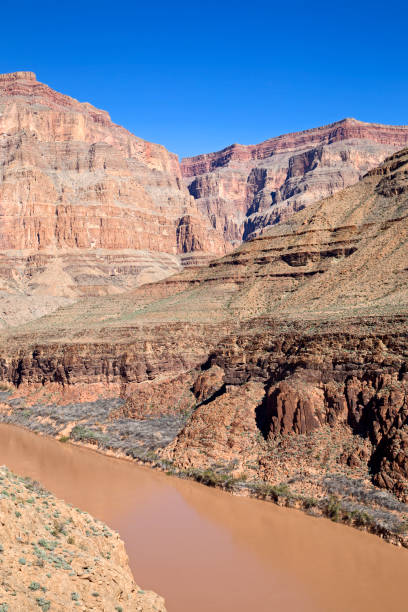 istock Grand Canyon Nevada 642831060