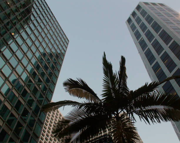 istock View Of Modern High Rise Office Buildings 642831680