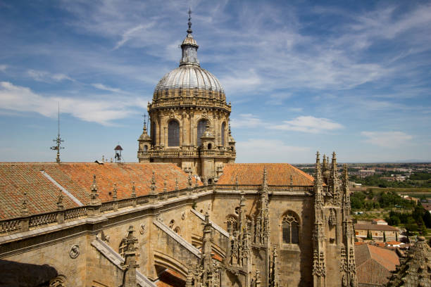 istock Old Cathedral of Salamanca, Spain 642834414