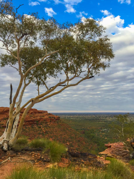 istock Kings Canyon, Northern Territory, Australia 642872514