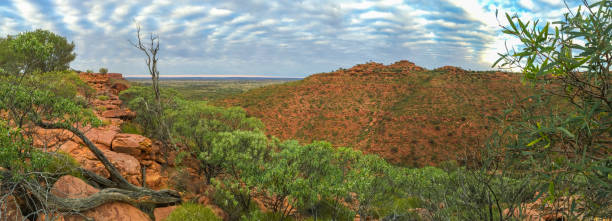 istock Kings Canyon, Northern Territory, Australia 642872550