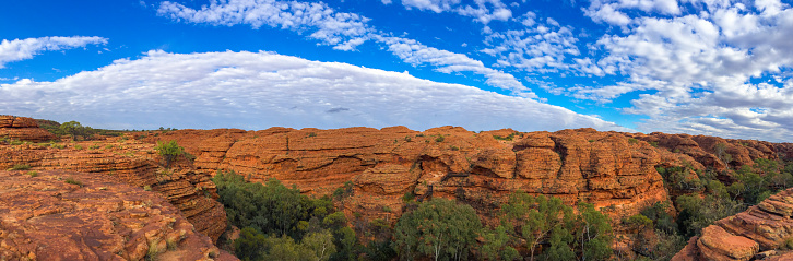 Unseasonal lush growth at Kings Canyon, Northern Territory, Australia