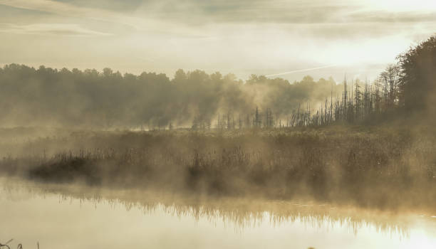 istock Misty summer morning sunrise on a marsh wetland. 642872724