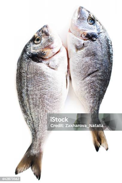 Fresh Raw Dorado Fish Isolated On White Background Stock Photo - Download Image Now - Animal, Animal Body, Animal Body Part