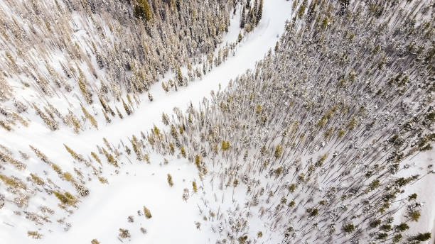 Aerial view of alpine forest in the Winter. Aerial view of alpine forest in the Winter. frisco colorado stock pictures, royalty-free photos & images