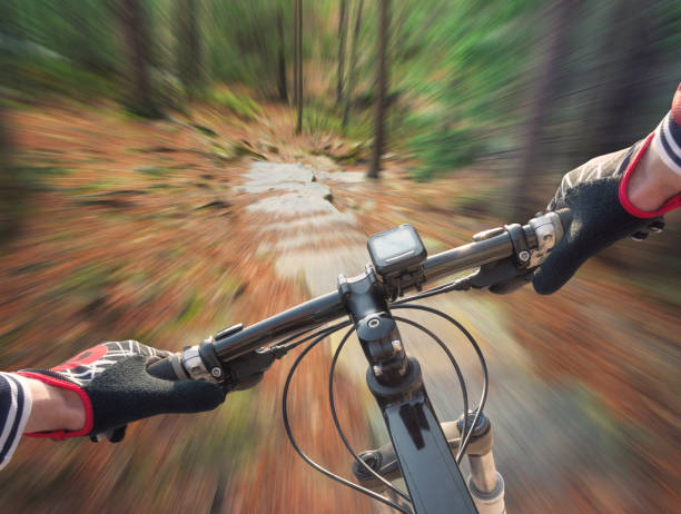 istock Sport and active life concept 642881870