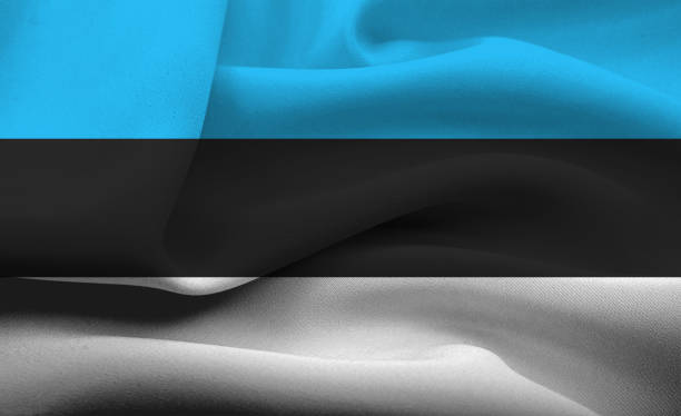 istock Flag of Estonia 642888560