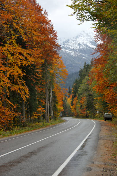 istock Autumn road in mountains 642892338