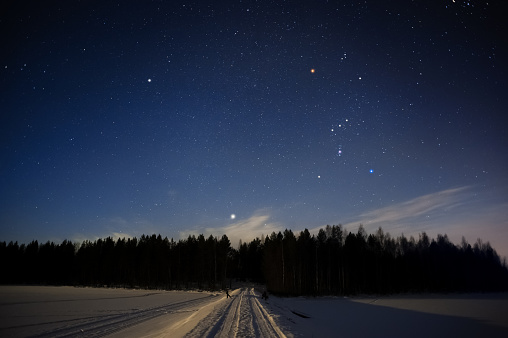 Constelación de Orión y sirio sobre el bosque en el cielo de invierno photo