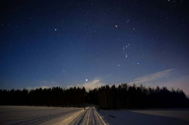 Orion constellation and Sirius above forest in winter sky stock photo