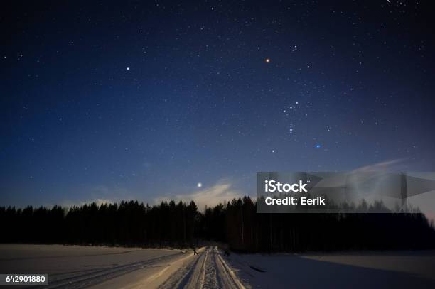 Orion Constellation And Sirius Above Forest In Winter Sky Stock Photo - Download Image Now