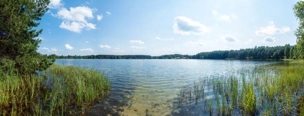 istock the lake of the summer 642905954