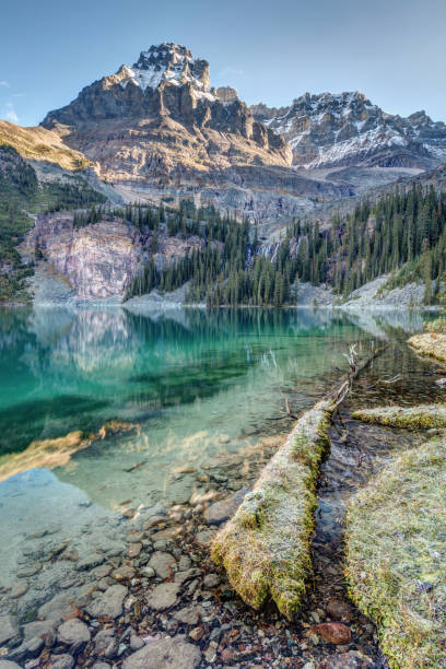 istock Lake O'Hara Scenic Shoreline 642909228
