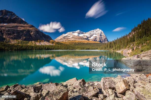 Lake Ohara Daydream Stock Photo - Download Image Now - Adventure, Awe, Beauty