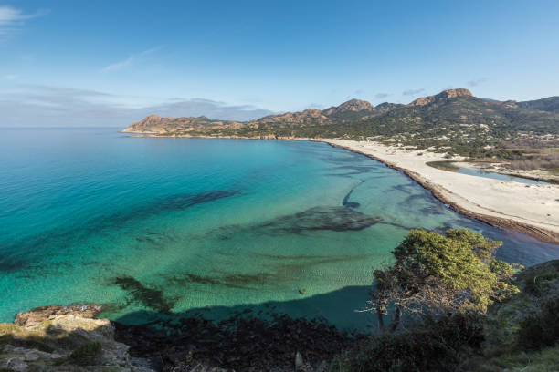 istock Turquoise Mediterranean at Ostriconi beach in Corsica 642910876