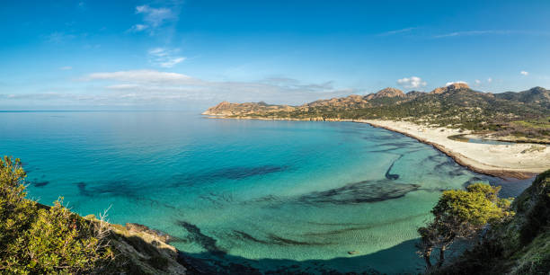Panoramic view of translucent turquoise sea at a deserted Ostriconi beach with the coastline of the Desert des Agriates and a clear blue sky