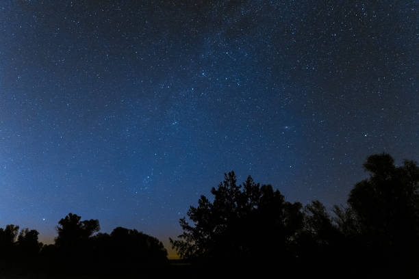 istock Millions stars above the treetops 642914012