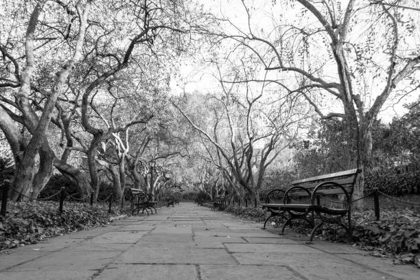 istock Conservatory Garden in Central Park during the fall season 642914892