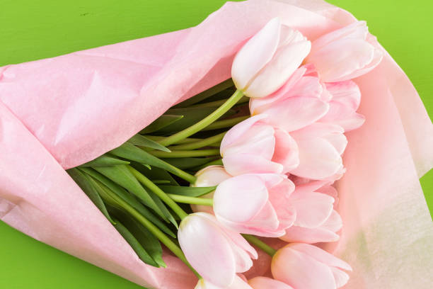 Bouquet of pink tulips wrappen in pink paper.