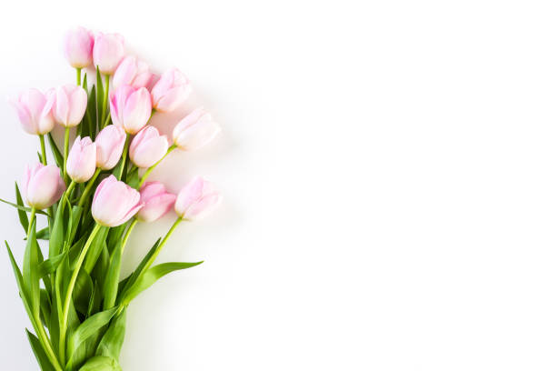 istock Bouquet of pink tulips 642917048