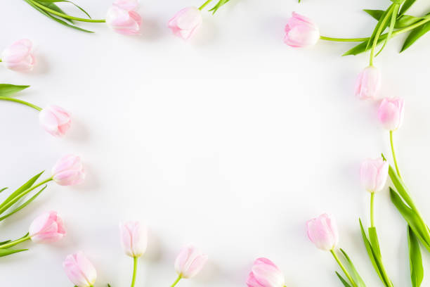 istock Bouquet of pink tulips 642917074