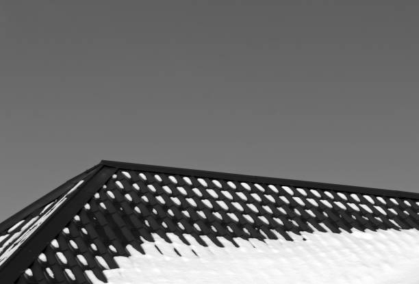 istock Black and white color roof in snow 642917188