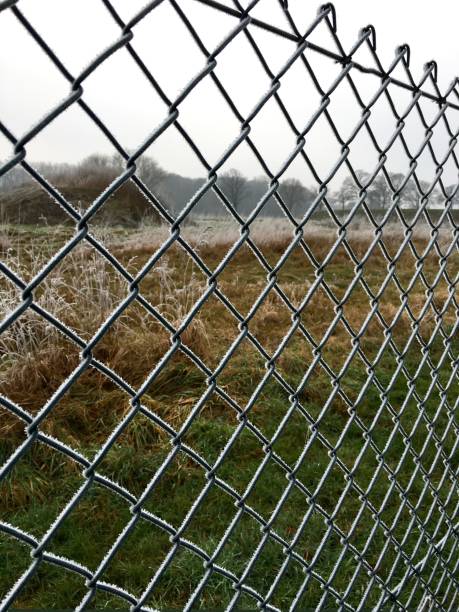 istock Hoarfrost on a green wire mesh fence 642917212