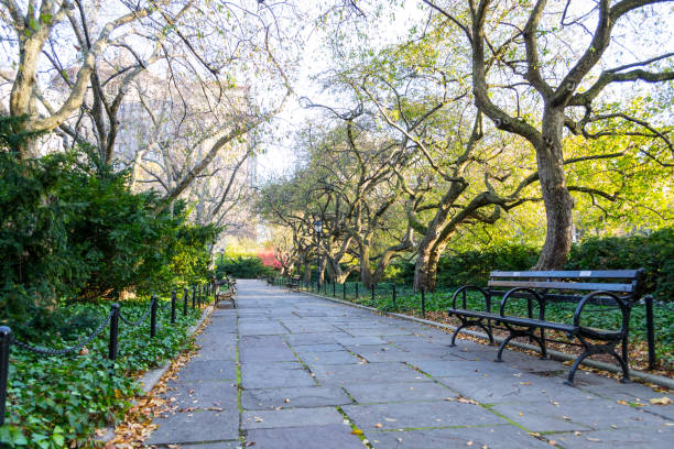 istock Conservatory Garden in Central Park during the fall season 642917282