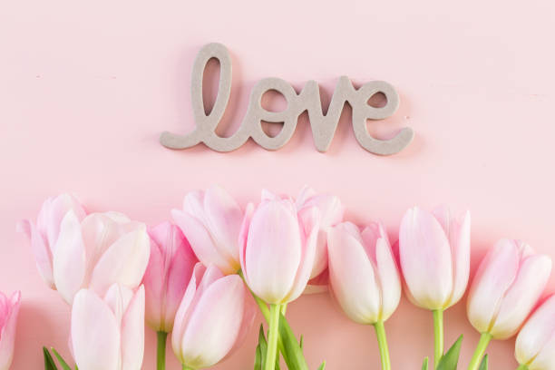 istock Bouquet of pink tulips 642917388
