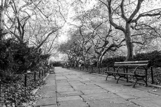 istock Conservatory Garden in Central Park during the fall season 642917750
