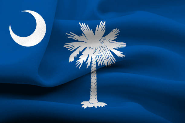 istock US state flag of South Carolina 642917882