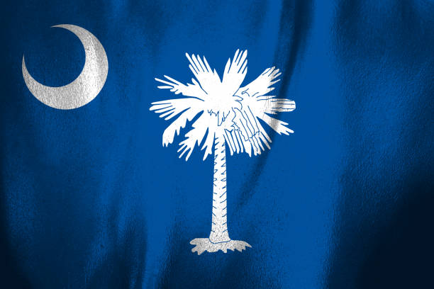 istock US state flag of South Carolina 642917906
