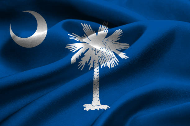 istock US state flag of South Carolina 642919964
