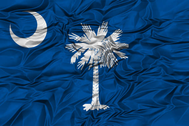 istock US state flag of South Carolina 642919966