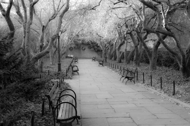 istock Conservatory Garden in Central Park during the fall season 642920588