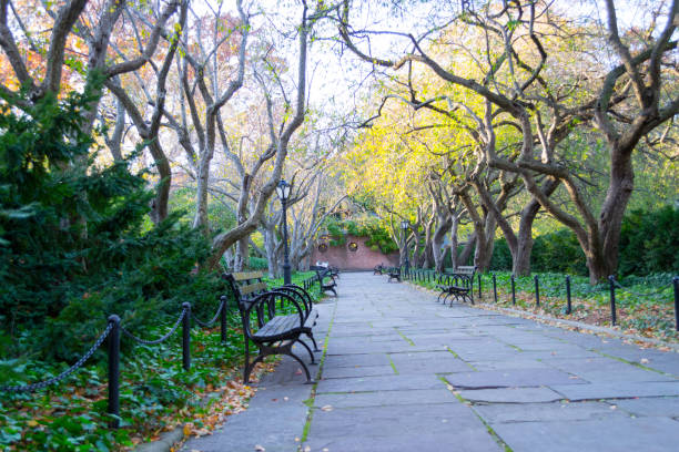 istock Conservatory Garden in Central Park during the fall season 642920602