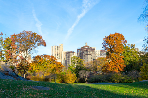 Lawn in Central Park by the Mount Sinai School of Medicine