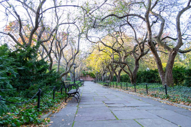 istock Conservatory Garden in Central Park during the fall season 642920962