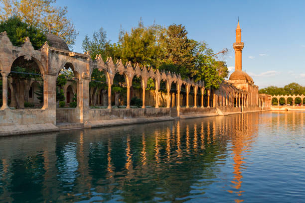 piscina sagrada, dedicada a abraham com as reflexões de rizvaniye mesquita, şanlıurfa, turquia. esta área é conhecida como balikligol. - known how - fotografias e filmes do acervo