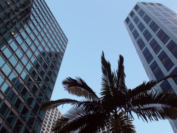 istock Modern Skyscrapers Office Buildings View 642924290