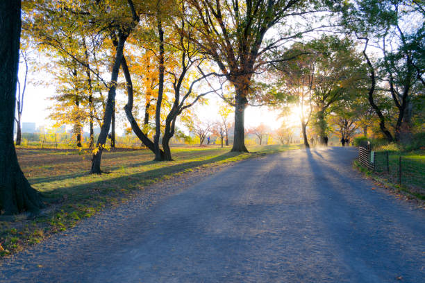 Bridle path goes around the Jacqueline Kennedy Onassis reservoir in Central park