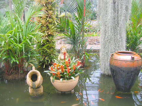 Small pond with small fishes and water exotic flowers in a garden of orchids, Pattaya, Thailand, summer day