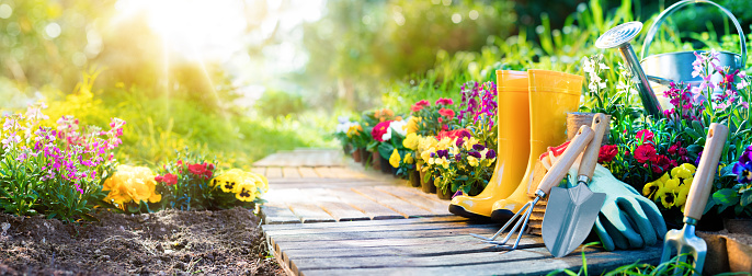 Set Of Tools For Gardener And Flowerpots In Garden