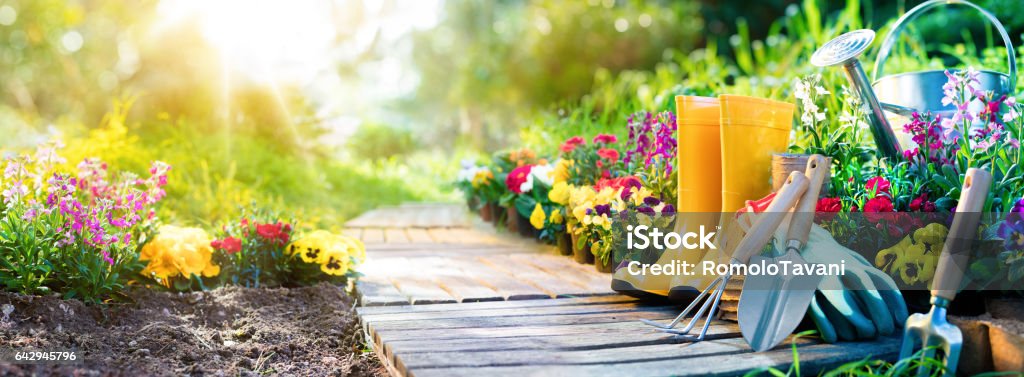 Gardening - Equipment Flowerbed In Sunny Garden Set Of Tools For Gardener And Flowerpots In Garden Springtime Stock Photo